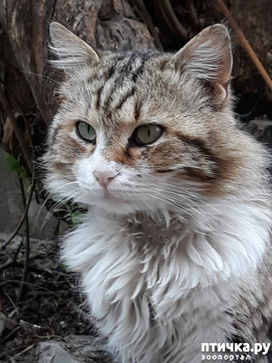 ����: ����� ��� - ��� ������ ��� �����? ��� ��� ������� ����?