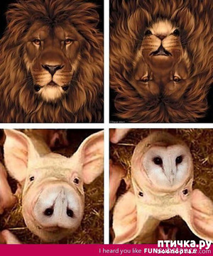 ����: ���������? �����������!