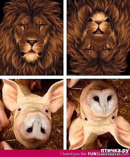 ���� 1: ���������? �����������!