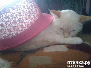 ����: �������� ��������!