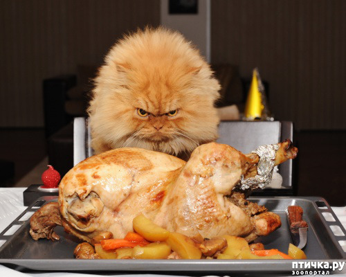 ���� 3: �������