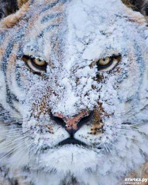 ���� 5: �������