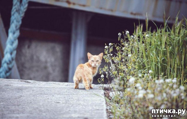 ���� 6: �������