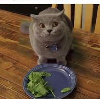 ���� 7: �������