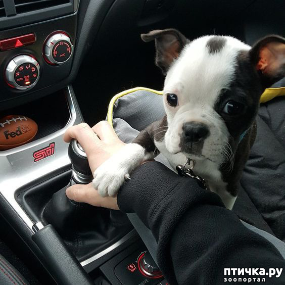 ���� 10: �������