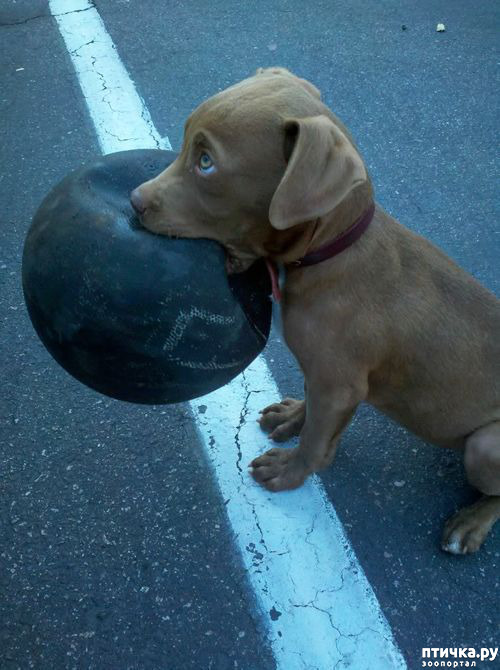 ���� 12: �������