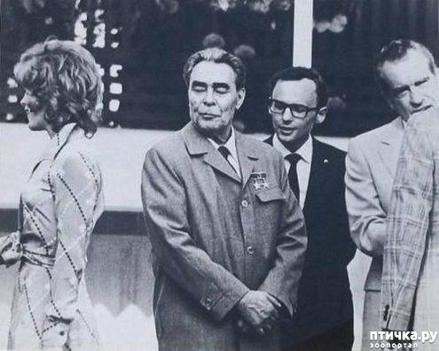 ���� 18: �������