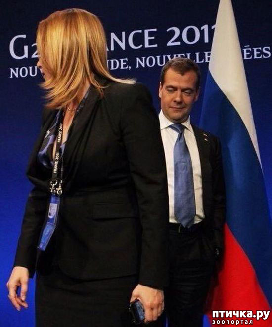 ���� 19: �������