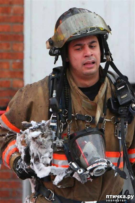 ���� 21: �������