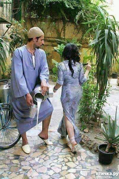 ���� 22: �������