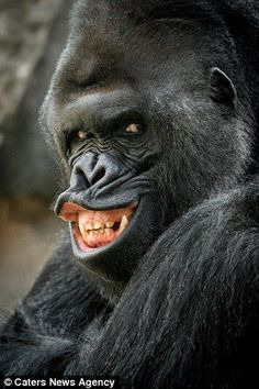 ���� 15: �������