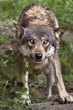 ���� 16: �������