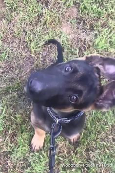 ���� 17: �������