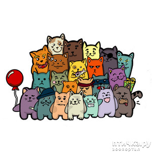 ����: ���� � ������������