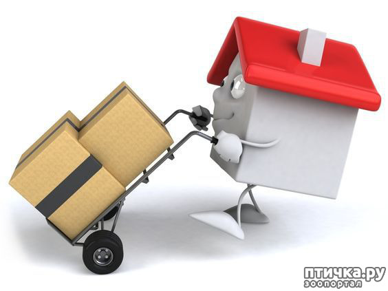 ���� 1: �������