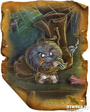 ����: �����