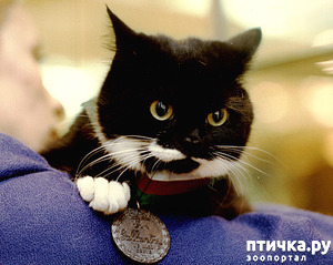 ����: ��� ���� ��, �����!