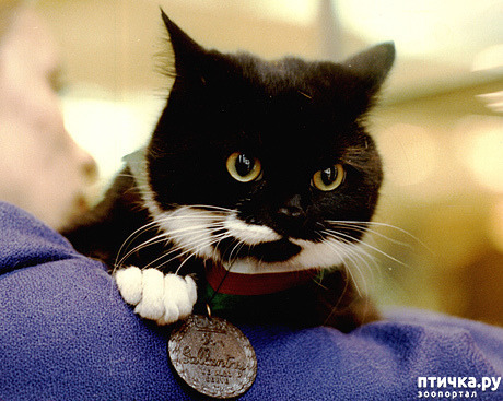 ���� 1: ��� ���� ��, �����!