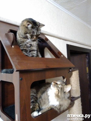 ����: ��������!