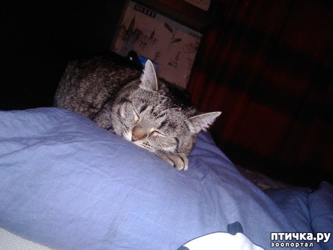 ���� 2: ��������!