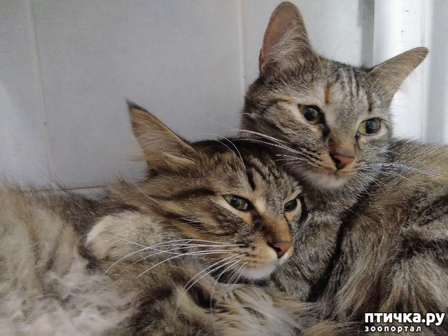 ���� 3: ��������!