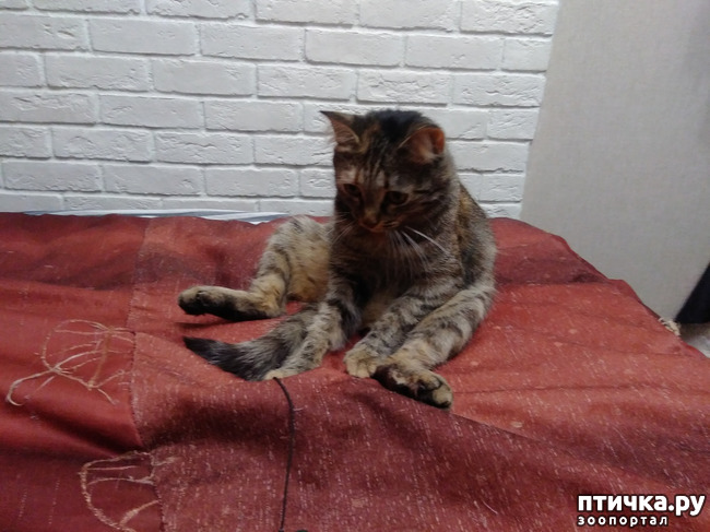 ���� 4: ��������!