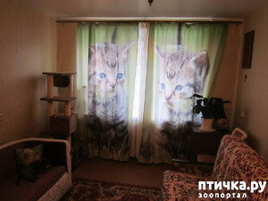 ����: ��� �� ������� ����������