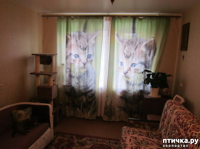 ���� 1: ��� �� ������� ����������