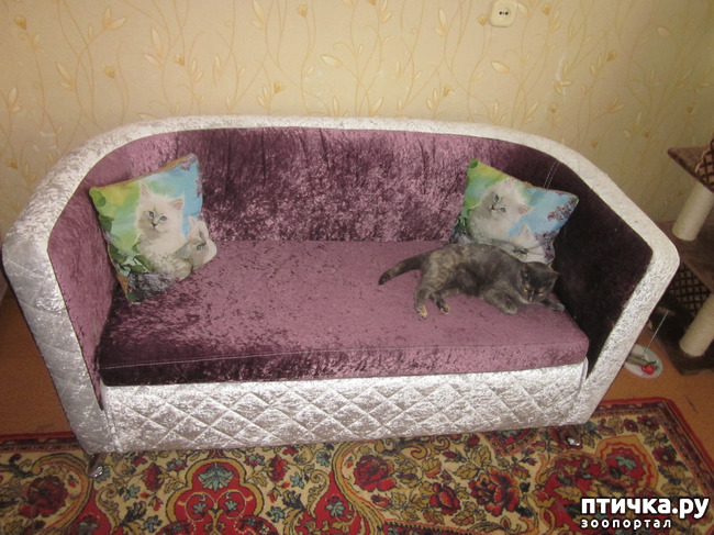 ���� 2: ��� �� ������� ����������