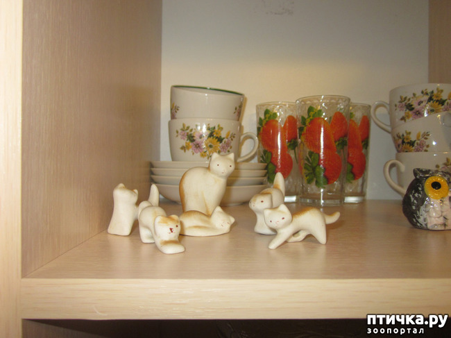 ���� 3: ��� �� ������� ����������