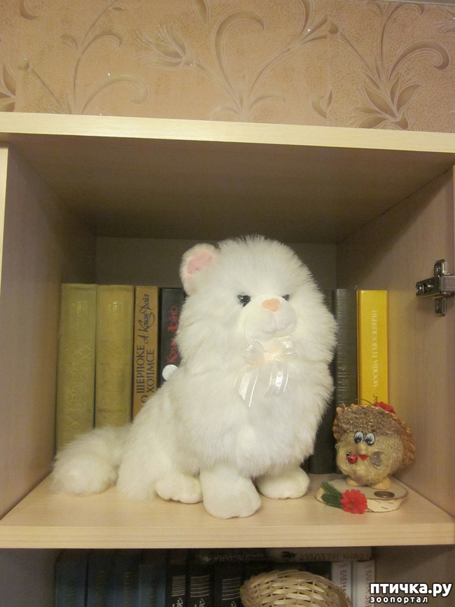 ���� 4: ��� �� ������� ����������