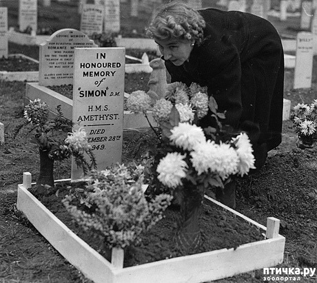 ���� 4: ��� ���� ��, �����!