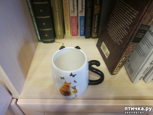 ���� 6: ��� �� ������� ����������