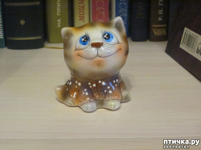 ���� 8: ��� �� ������� ����������