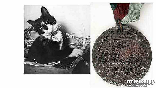 ���� 3: ��� ���� ��, �����!