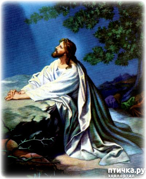 ����: ���� ����