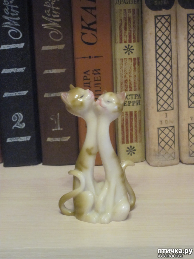 ���� 9: ��� �� ������� ����������