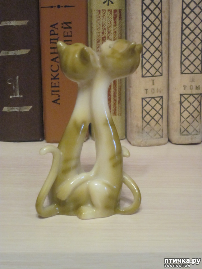 ���� 10: ��� �� ������� ����������