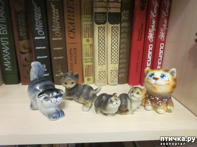 ���� 11: ��� �� ������� ����������