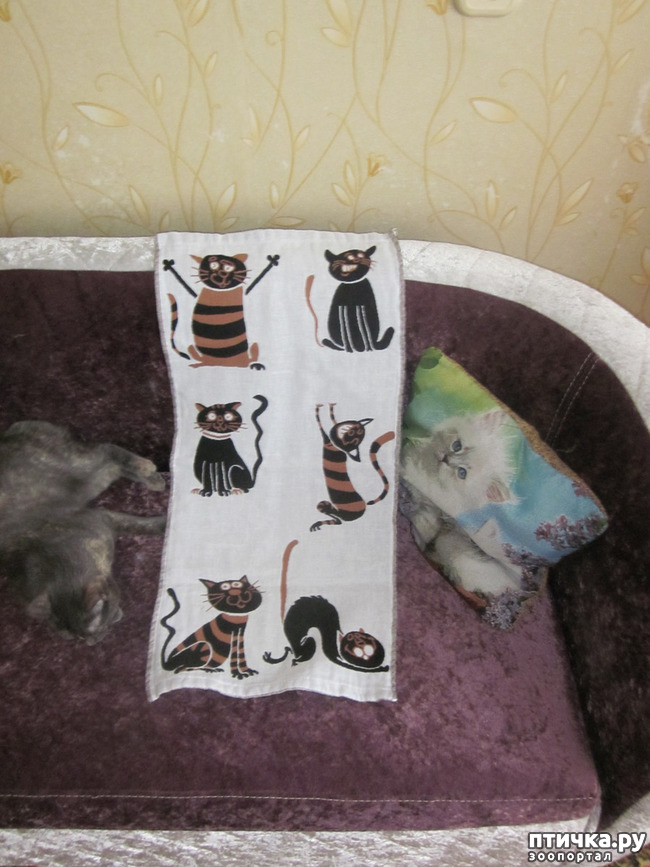 ���� 12: ��� �� ������� ����������