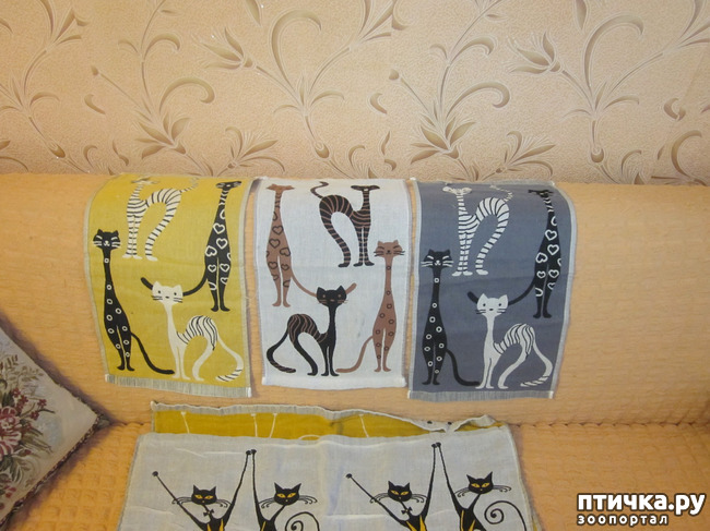 ���� 13: ��� �� ������� ����������