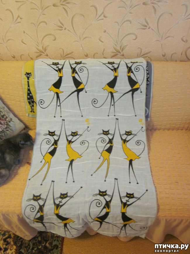 ���� 14: ��� �� ������� ����������