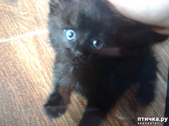 ���� 1: � ������ ����� � ������ ������... ��� �������... ������� ���������� �� ������, � ������ ������... � �����, ����������! �������� �����������, ������ �� ������ ������� ������ �����...