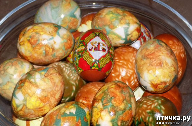 ���� 1: �������� ������������ �������� ��������� �����