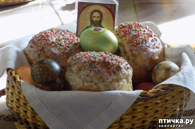 ���� 2: �������� ������������ �������� ��������� �����