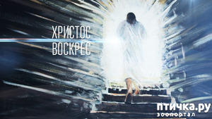 ����: ���������!