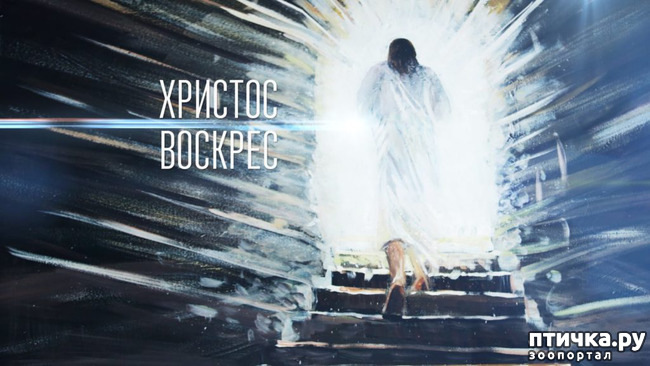 ���� 1: ���������!