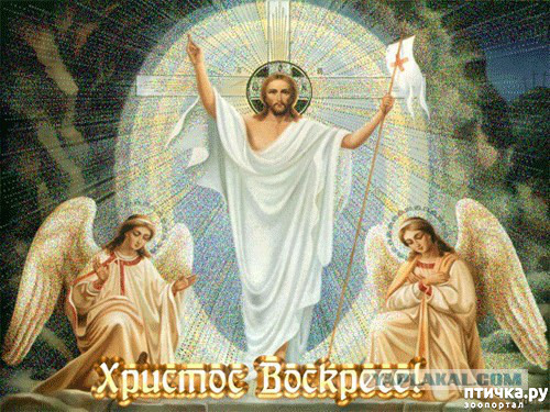 ���� 2: ���������!