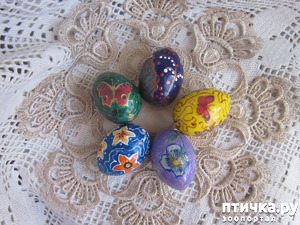 ����: �� ������� ���������� �����!