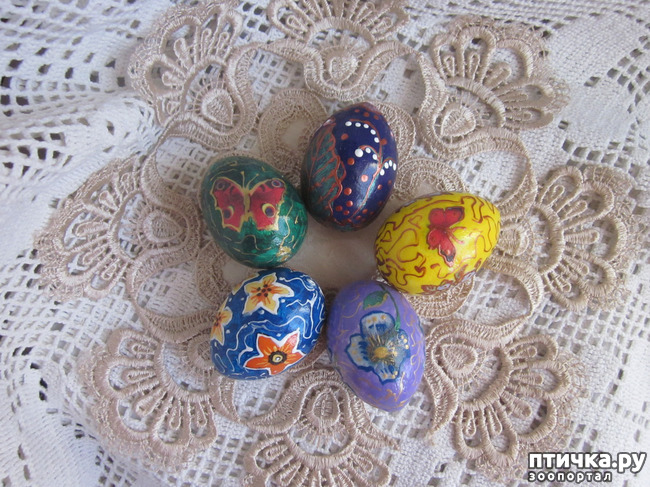 ���� 1: �� ������� ���������� �����!